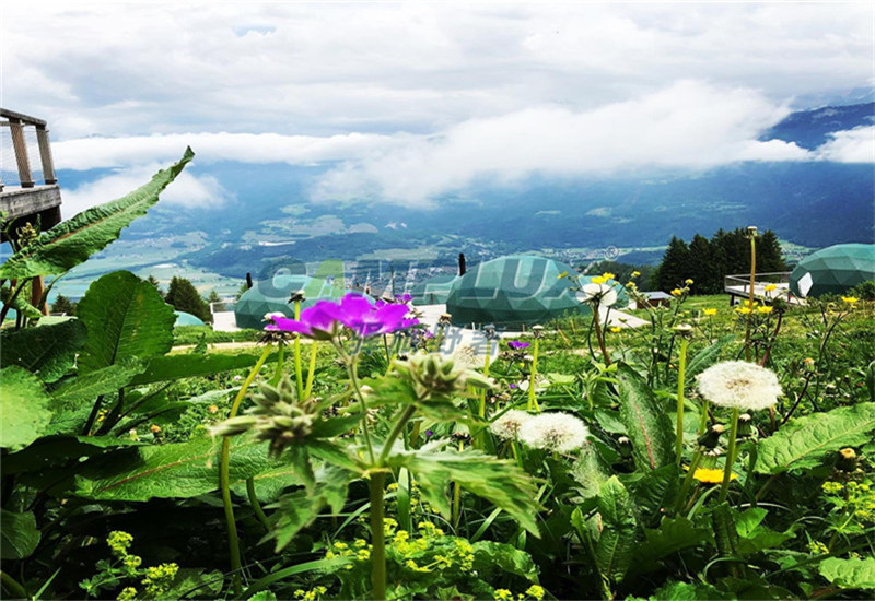 http://www.njbrjk.cn/data/images/case/20190909164606_159.jpg